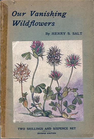 Our Vanishing Wildflowers - Henry S. Salt